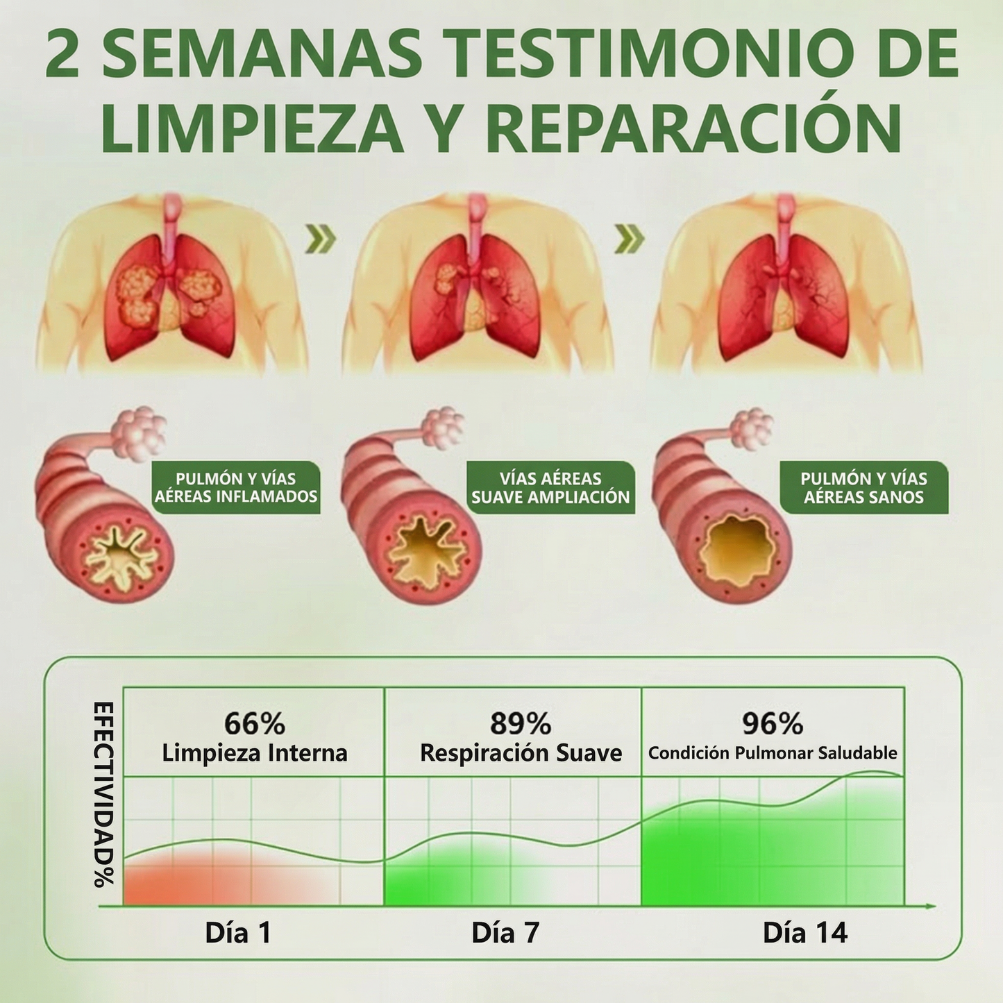 🍃Timilk®BOTÁNICO CUIDADO PULMONAR DIFUSOR DE GORDOLOBO